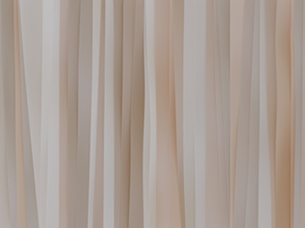 Innovative Solutions by Local Startups