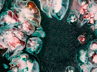 Description of GRAVITY